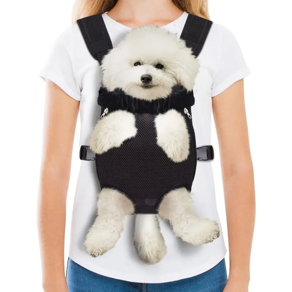 Paws Dog Carrier