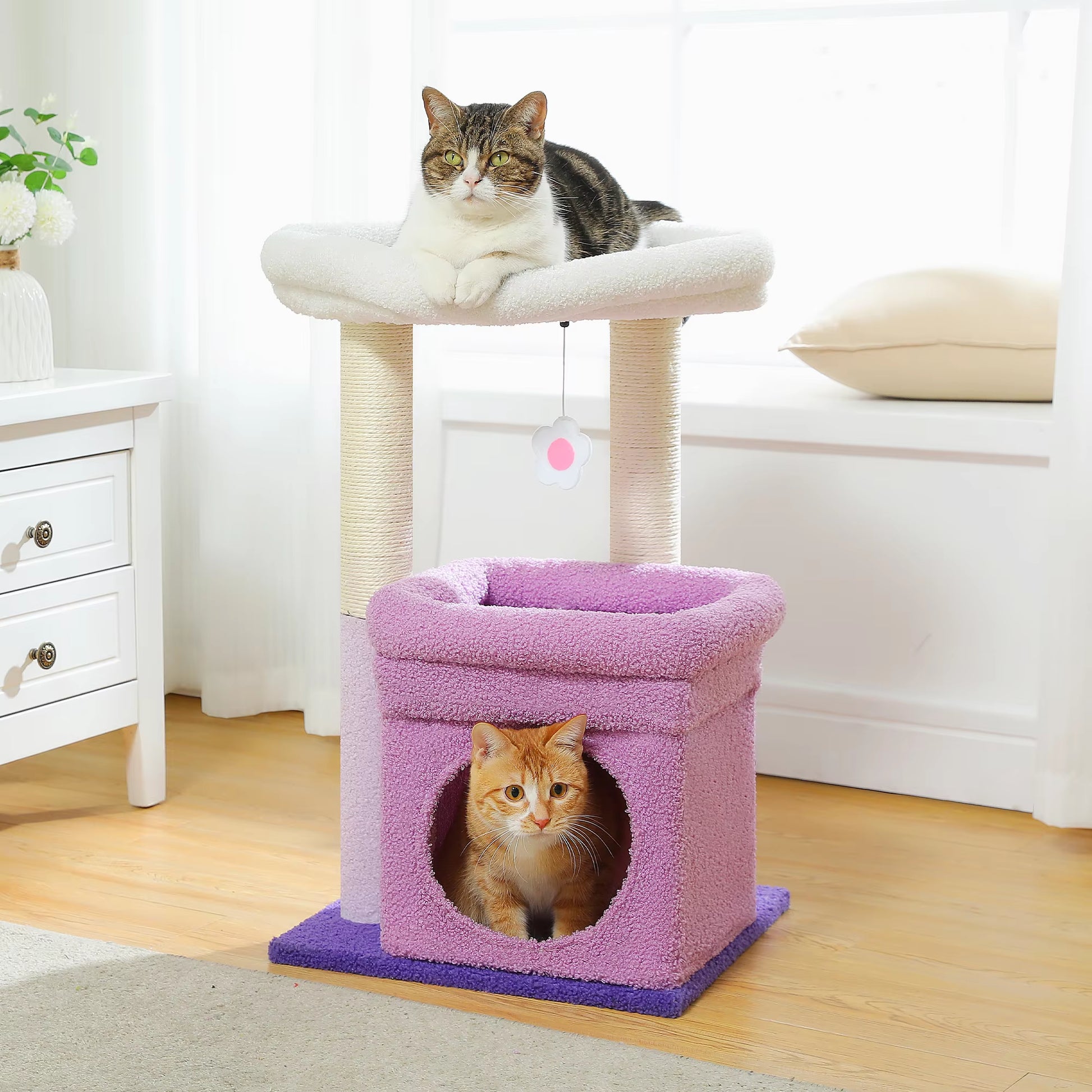 Small Cat Tree with Cozy Condo Cat Tower for Indoor Natural Sisal Cat Scratching Posts Scraper for Cats Accessories Pet Cat Toys