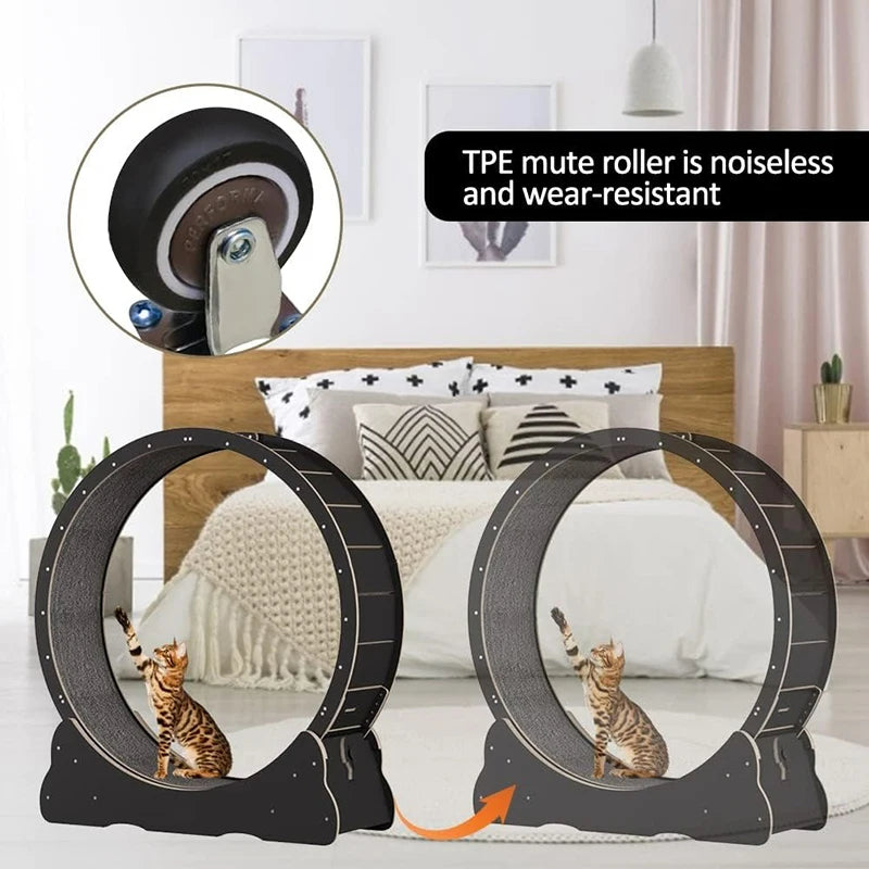 Cat Treadmill Wheel