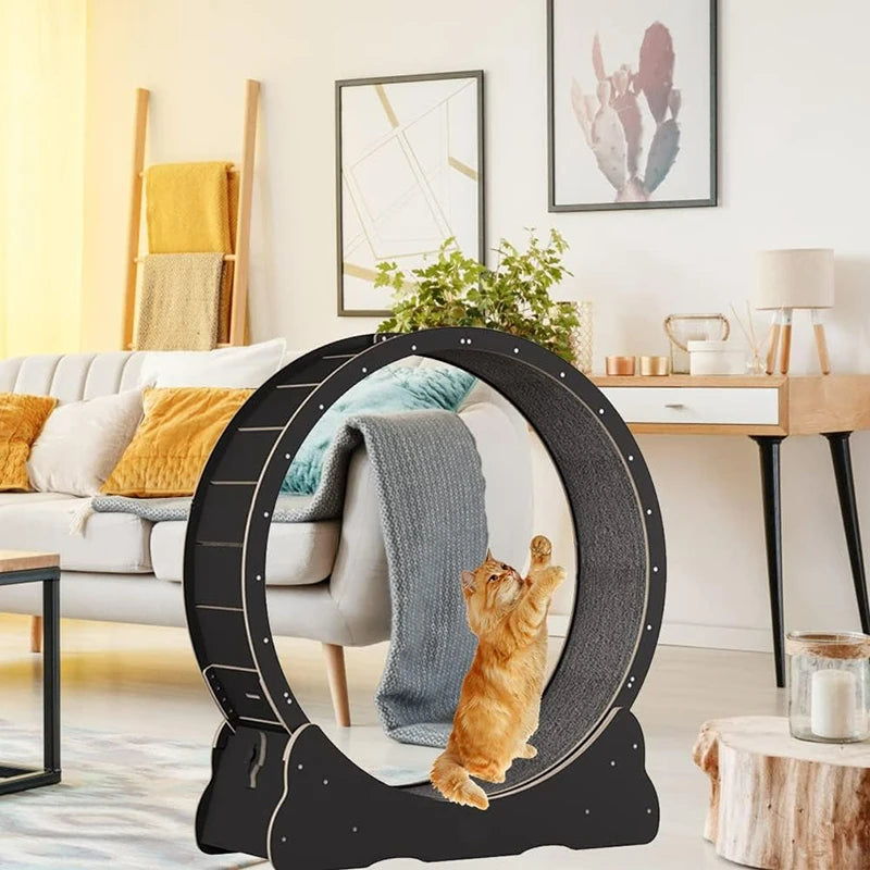 Cat Treadmill Wheel