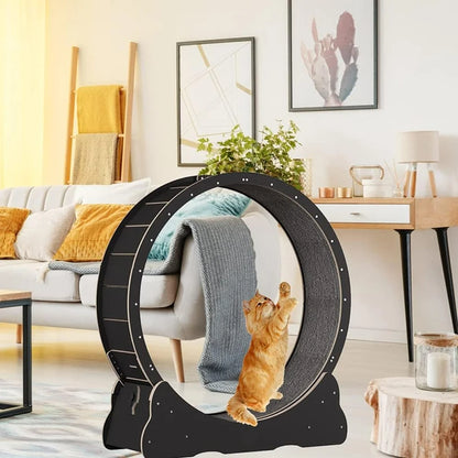 Cat Treadmill Wheel