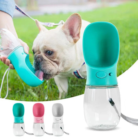 Pet Water Bottle & Feeder