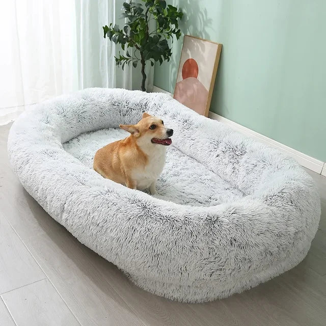 Dog Bed Bean