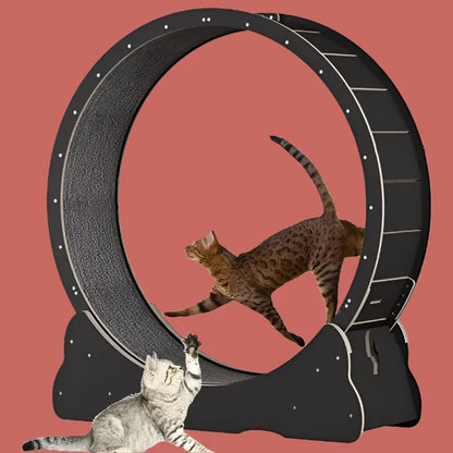 Cat Treadmill Wheel