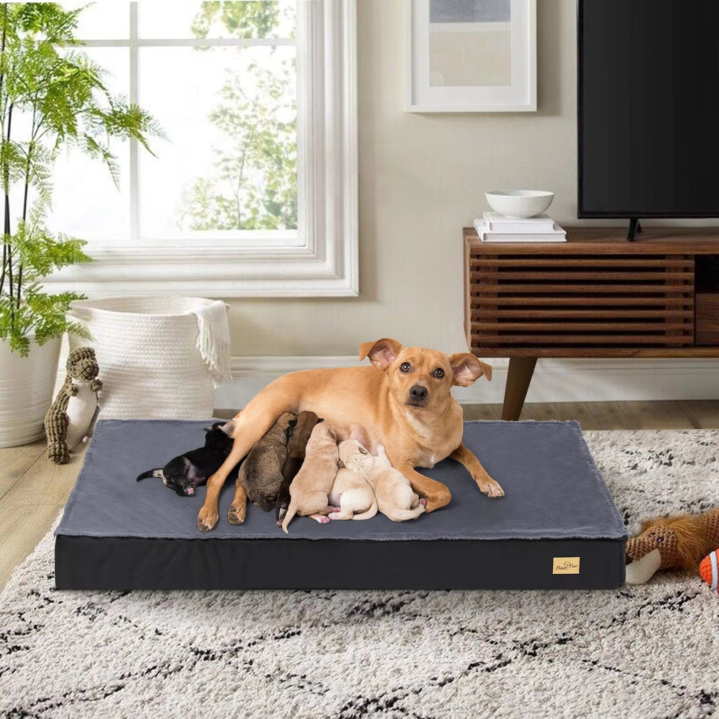 Dog Beds for Large Dogs, Orthopedic Dog Bed for Medium Large Dogs Waterproof Lining, and Non-Slip Bottom, Machine Washable