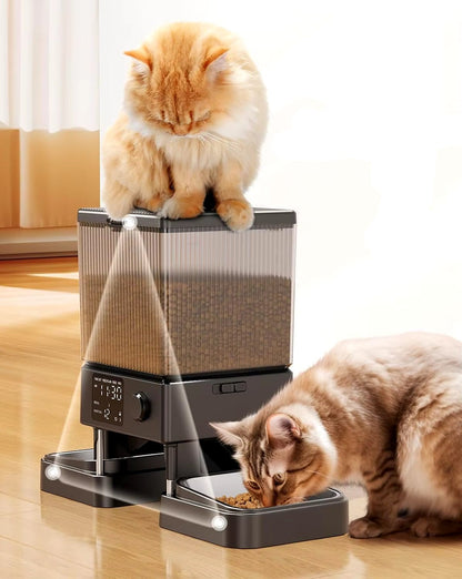 Automatic Cat Feeder for 2 Cats, 20 Cups/5L Automatic Cat Food Dispenser for Small Pets Indoor, Timed Cat Feeder for Dr