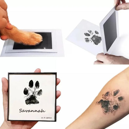 Dog Paw Prints